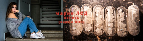 spice Бугульма