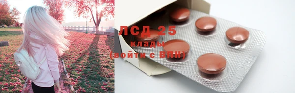 spice Бугульма