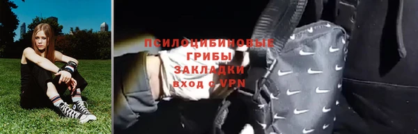 дживик Бородино