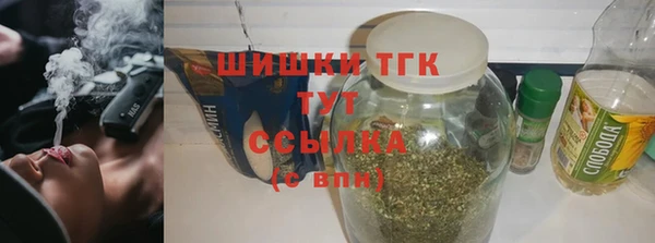 дживик Бородино