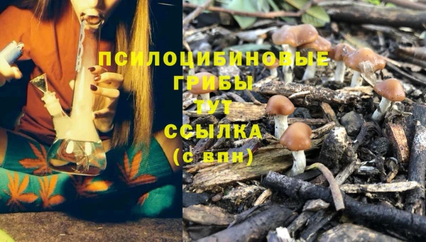 дживик Бородино