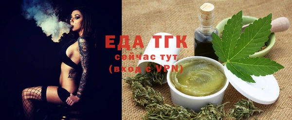 дживик Бородино
